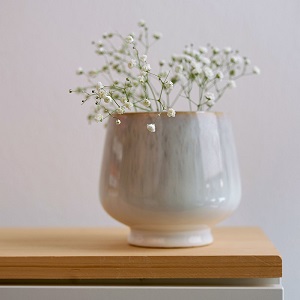 small vase with baby's breath